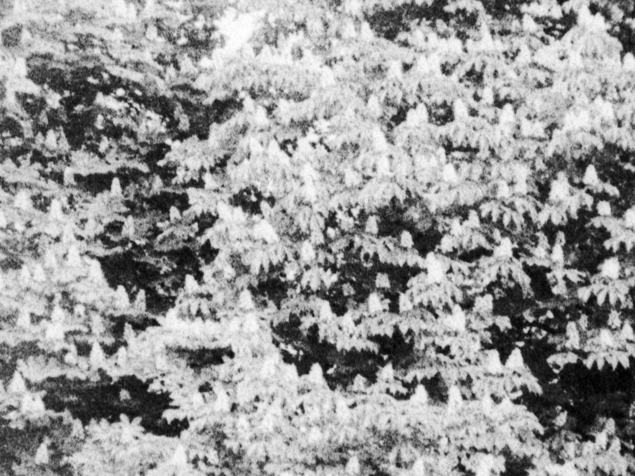 Memories_Still_5