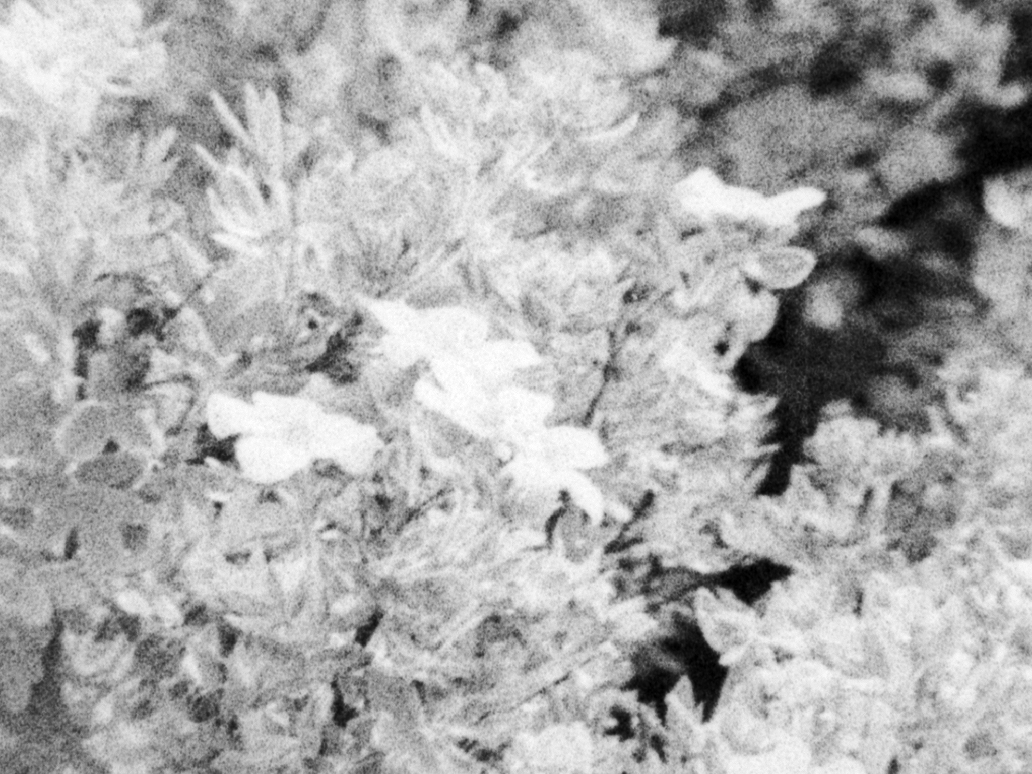 Memories_Still_6