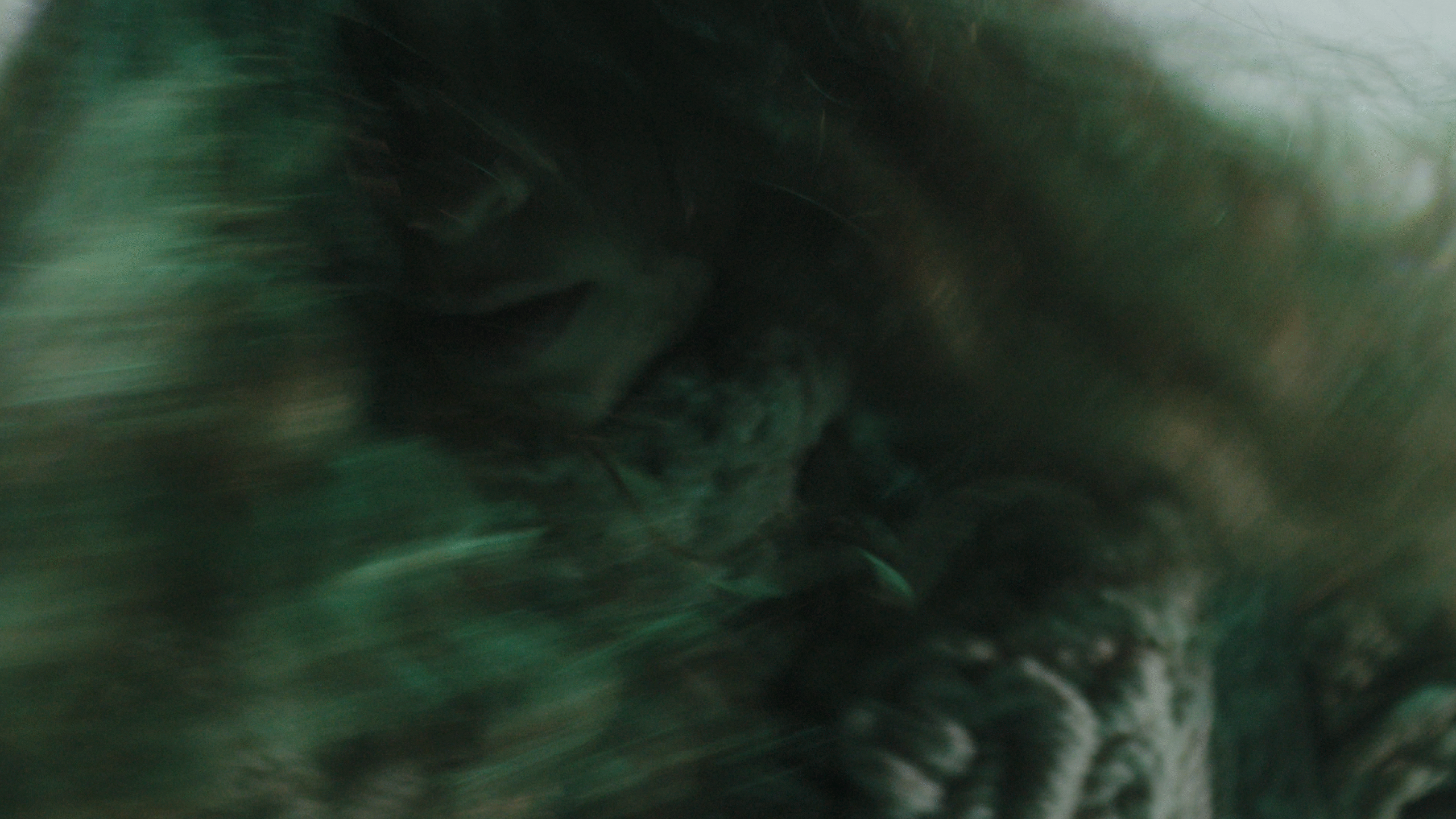 SOTF_Stills_1.10.3