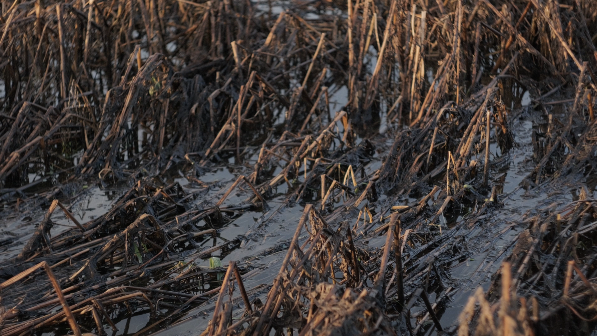 Screenshot 2025-09-20 223849