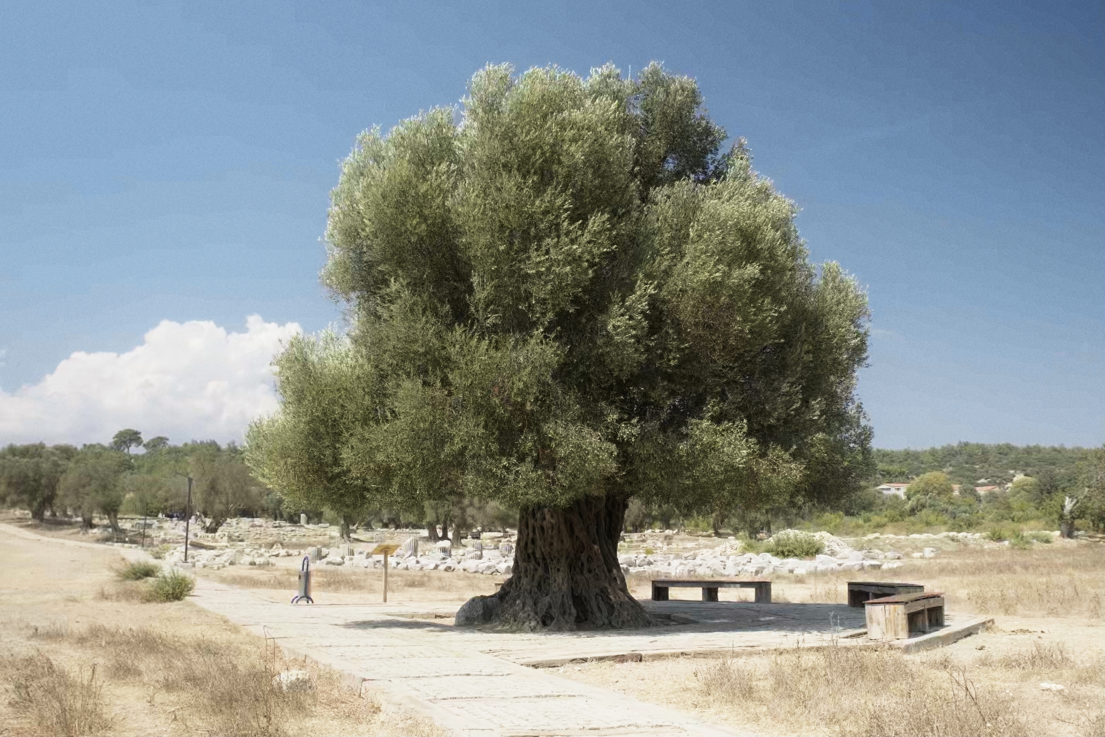 Still 2024-09-16 144542_1.4.1